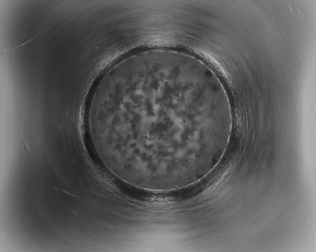X0000094060487200710191104
