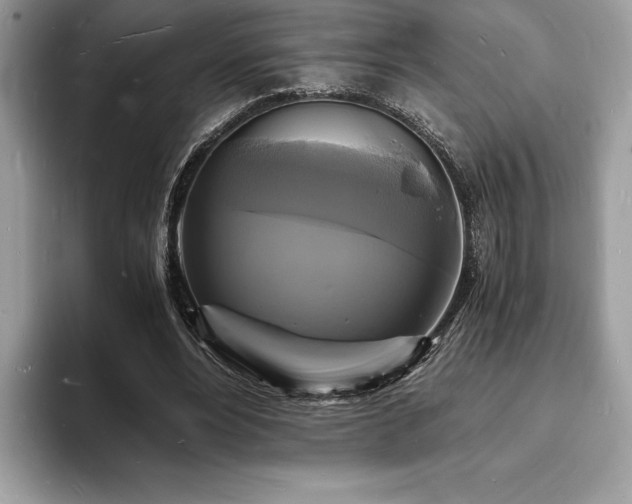 X0000094060488200710191104