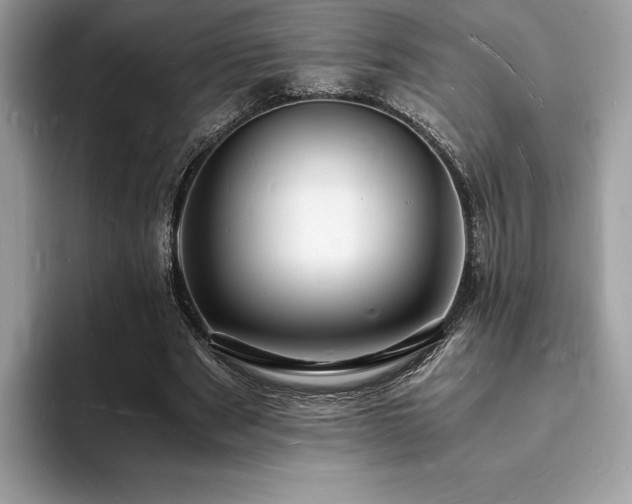 X0000094060489200710191104