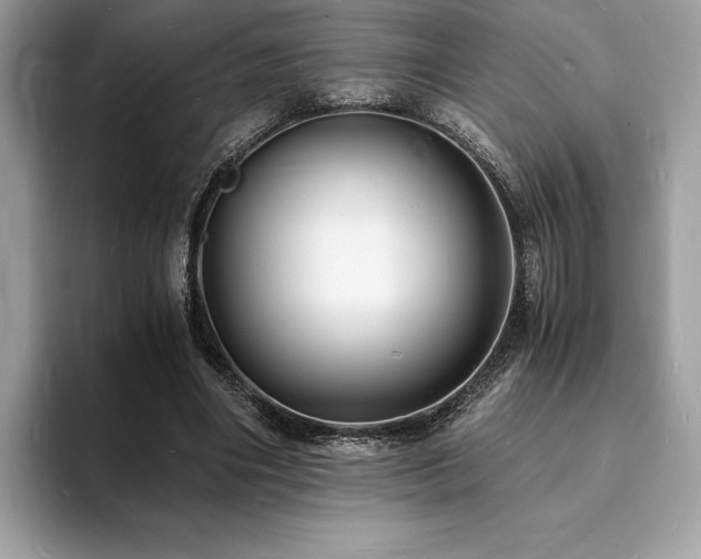 X0000094060490200710191104