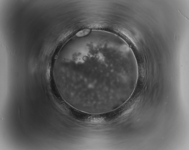 X0000094060491200710191104