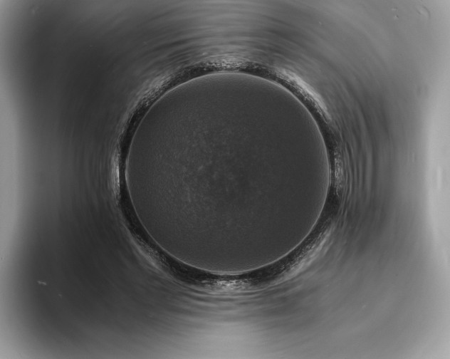 X0000094060493200710191104