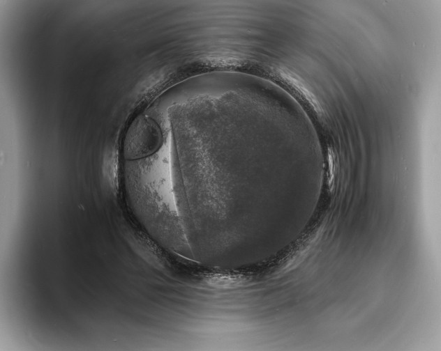 X0000094060494200710191104