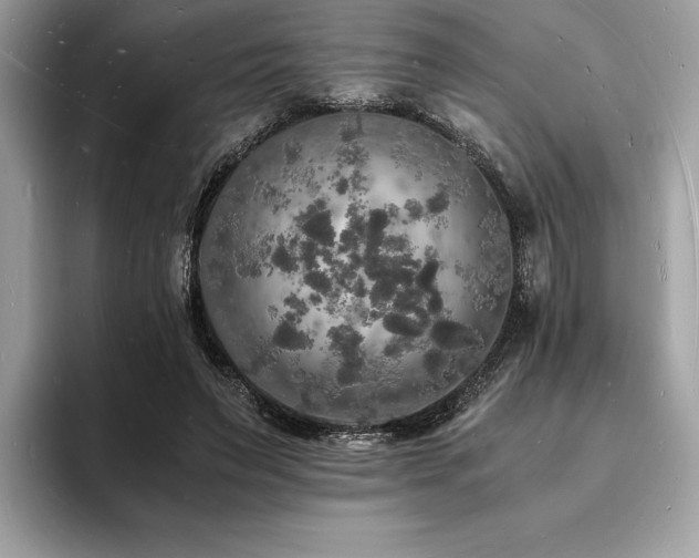 X0000094060495200710191104