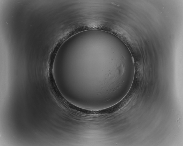 X0000094060496200710191104