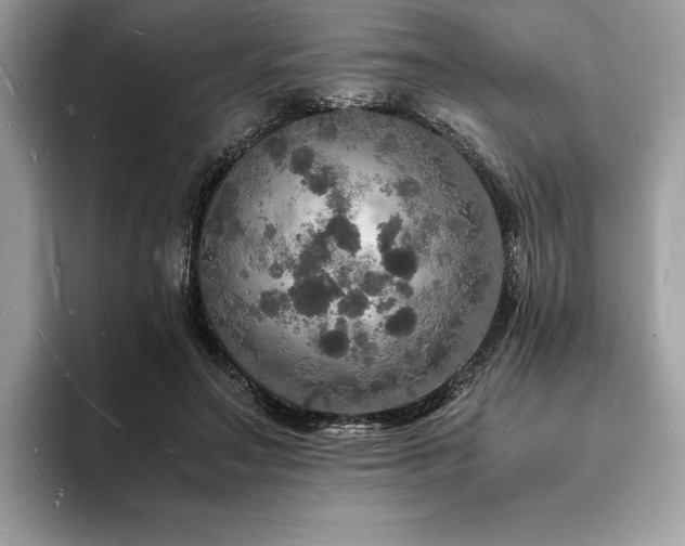 X0000094060499200710191104