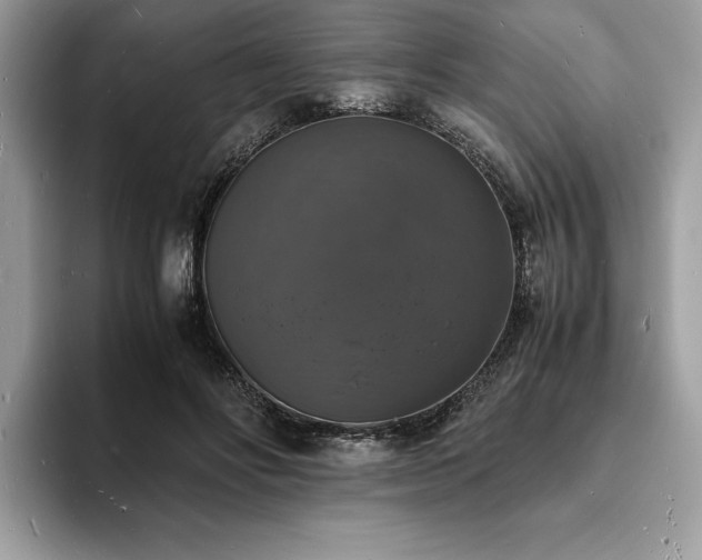X0000094060502200710191104