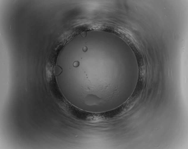 X0000094060503200710191104