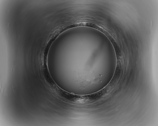 X0000094060504200710191104