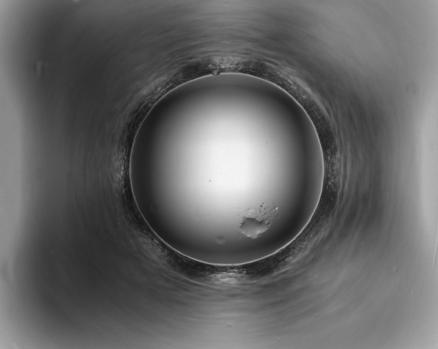 X0000094060505200710191104