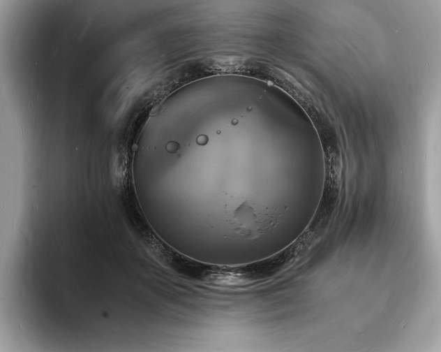 X0000094060507200710191104