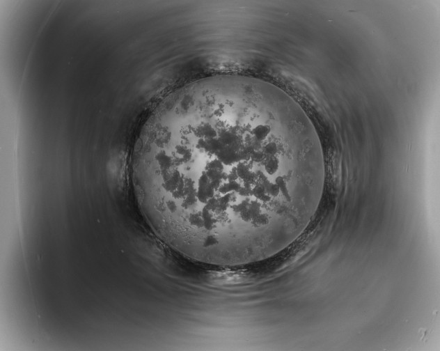 X0000094060511200710191104