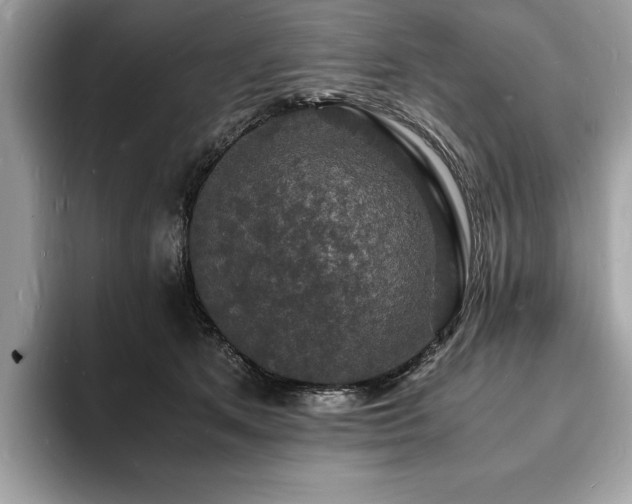 X0000094060513200710191104