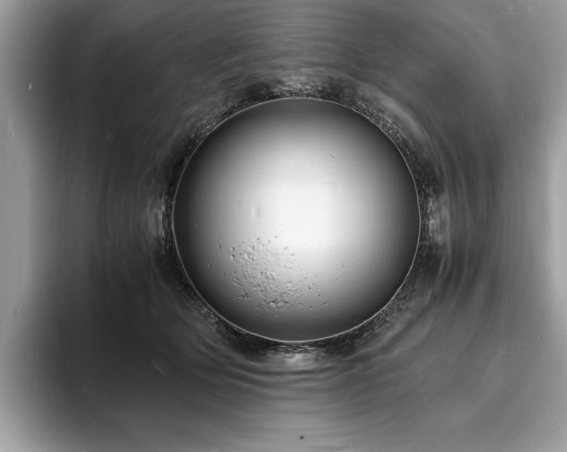 X0000094060514200710191104