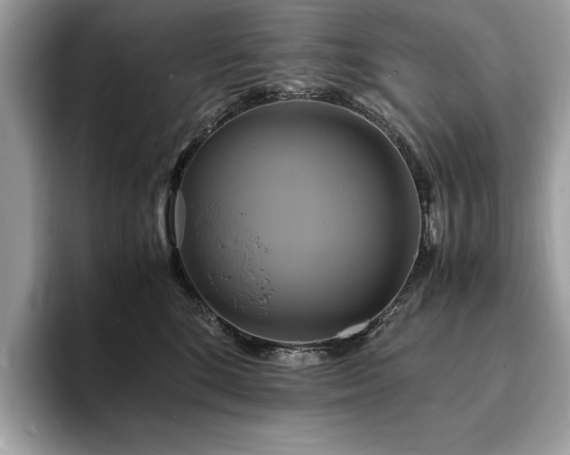 X0000094060520200710191104