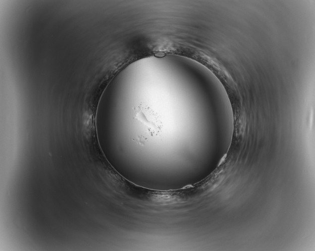 X0000094060521200710191104