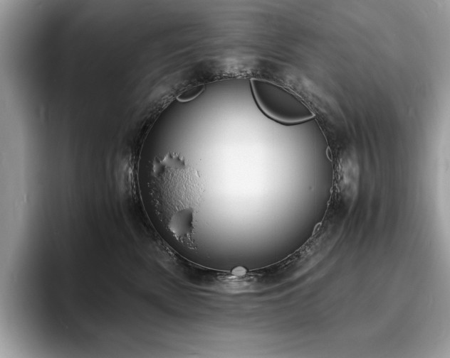 X0000094060522200710191104