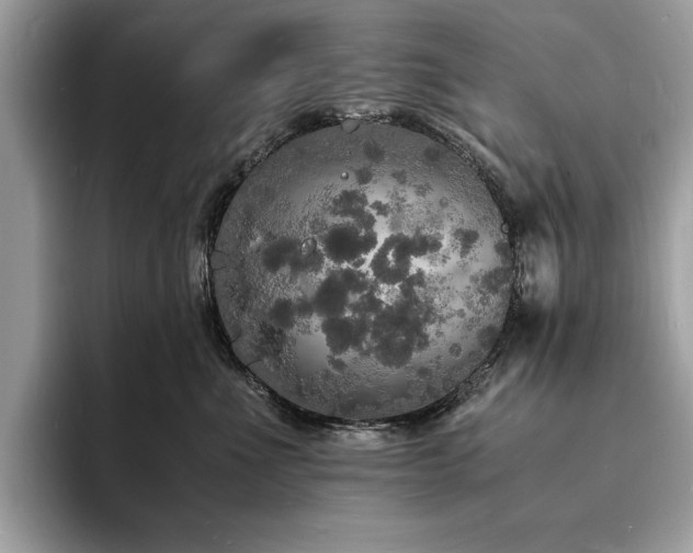 X0000094060523200710191104