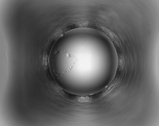 X0000094060525200710191103