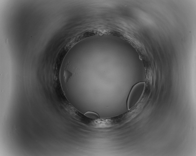 X0000094060526200710191103