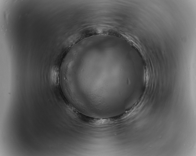 X0000094060527200710191103