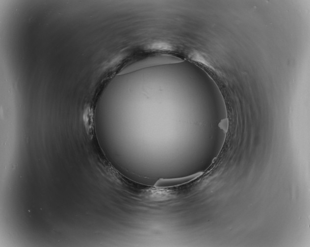 X0000094060528200710191103