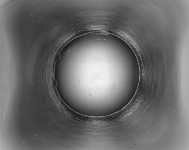X0000094060529200710191103