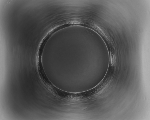 X0000094060531200710191103