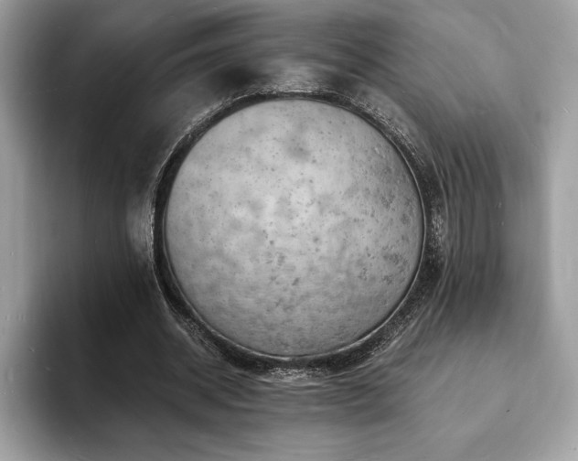 X0000094060534200710191103