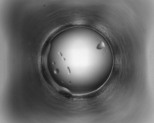 X0000094060535200710191103
