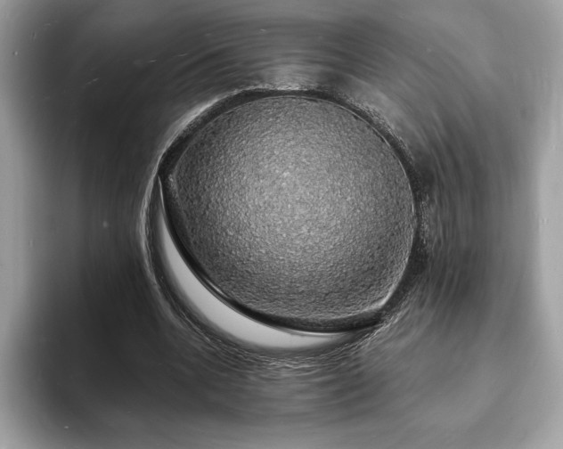 X0000094060536200710191103