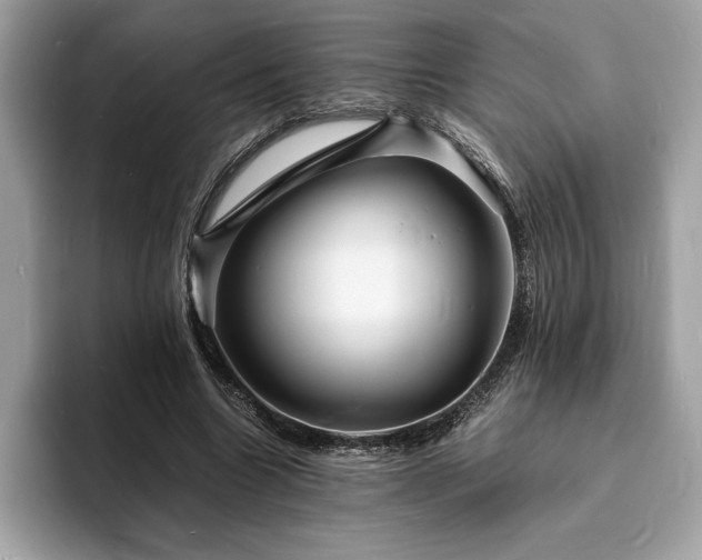 X0000094060538200710191103