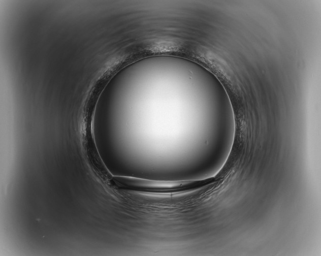 X0000094060539200710191103