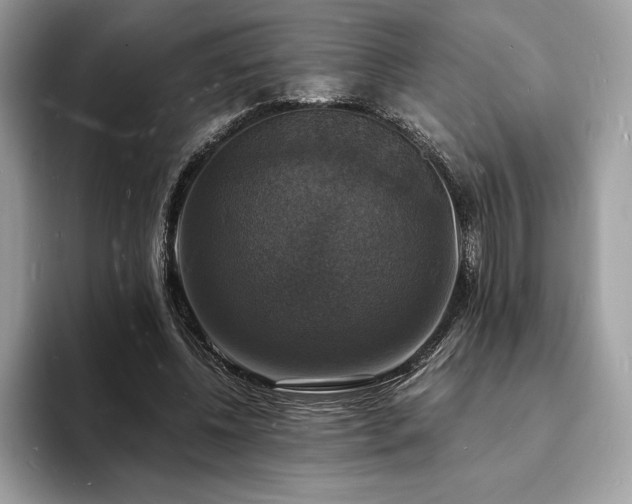 X0000094060540200710191103