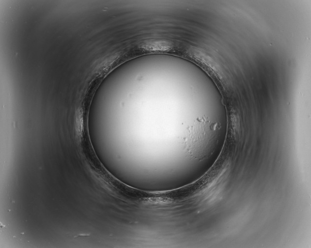 X0000094060541200710191103