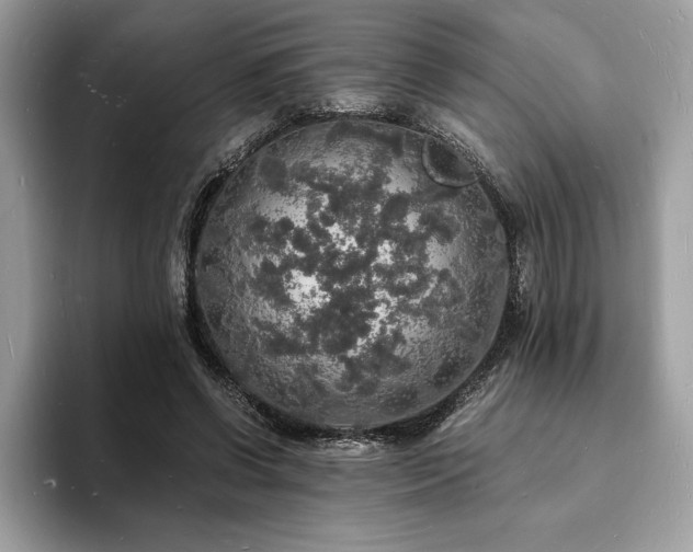 X0000094060542200710191103