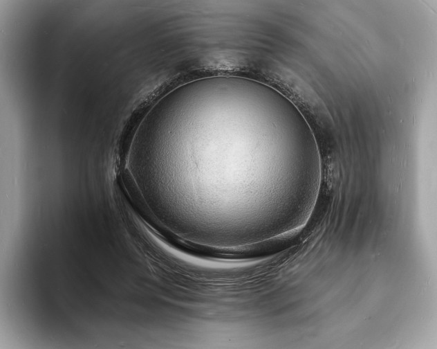 X0000094060544200710191103