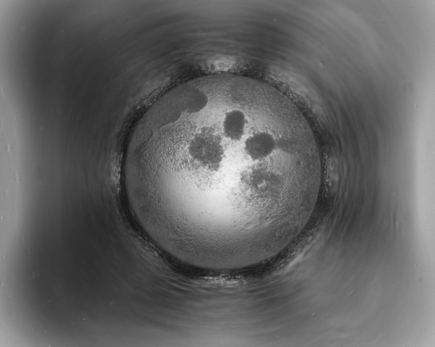 X0000094060545200710191103