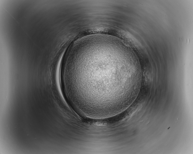 X0000094060546200710191103