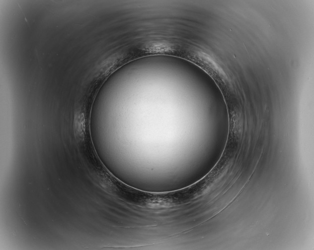 X0000094060549200710191103