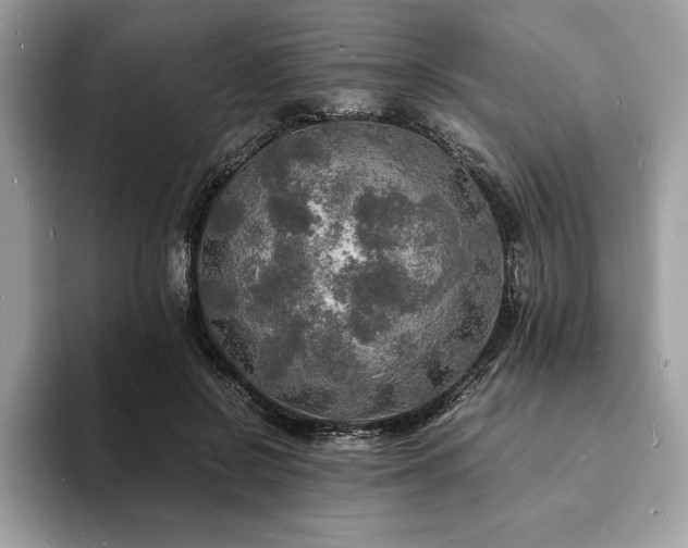 X0000094060550200710191103