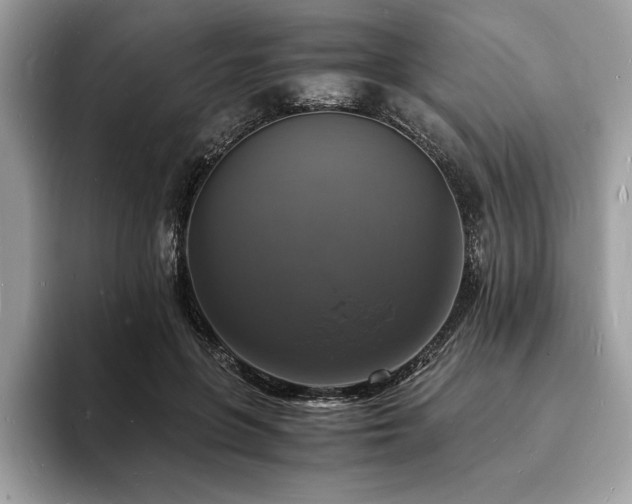 X0000094060551200710191103