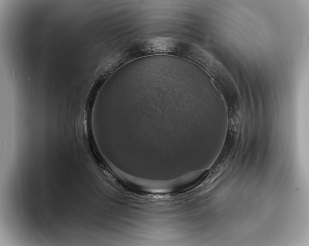 X0000094060552200710191103