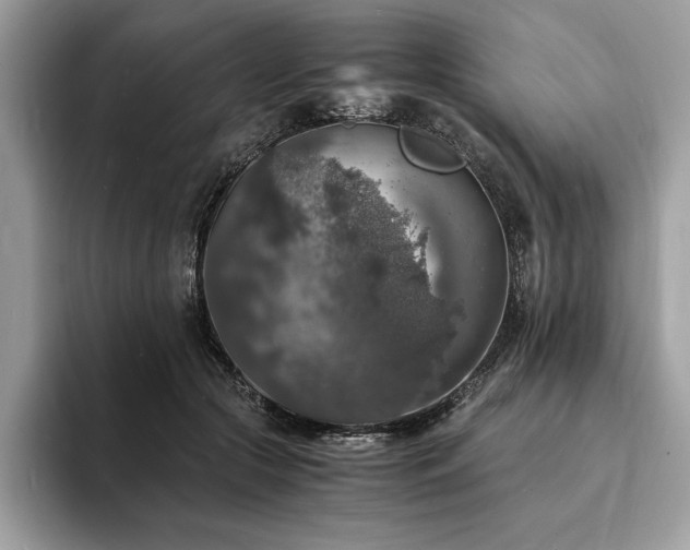 X0000094060553200710191103