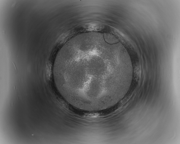 X0000094060554200710191103