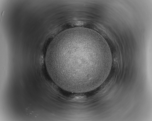 X0000094060555200710191103