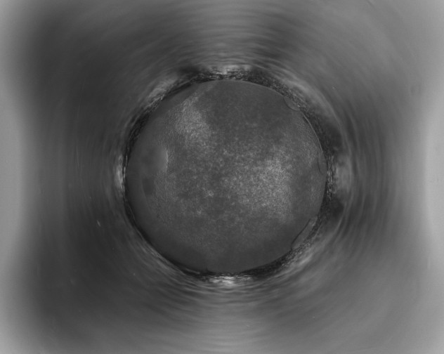 X0000094060558200710191103