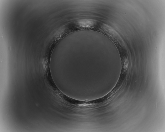 X0000094060559200710191103