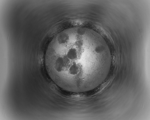 X0000094060561200710191103