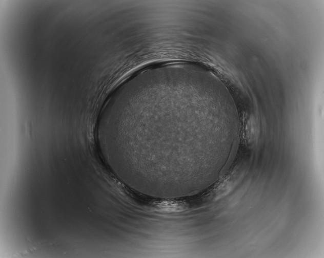 X0000094060562200710191103